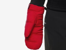 Рукавицы BASK