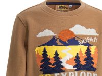 Свитшот для мальчика