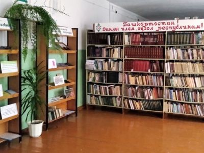 Старомусинская сельская библиотека