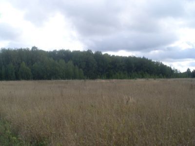 Священная роща