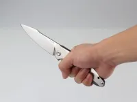 Нож складной Ruike P128-SF, светлый