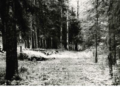 Усадьба Л.А. Берс. Парк (мыза "Утешение")