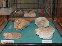 Пикалевский краеведческий музей