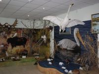 Крутинский историко-краеведческий музей