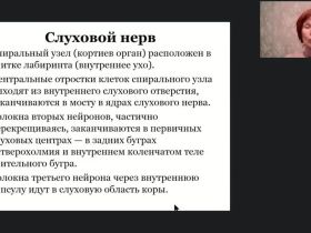 Международный вебинар "Анатомия, физиология и патология органов слуха, речи и зрения"