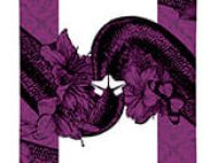 Сноуборд ROME SDS LO-FI ROCKER 21/22