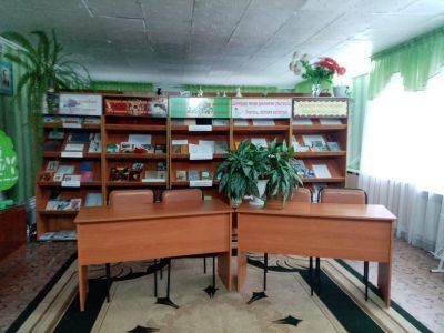 Воядинская сельская модельная библиотека