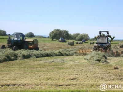 В Якутии тракторист наехал на лежавшего в стоге мужчину