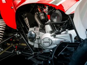 Квадроцикл MOTOLAND 250S