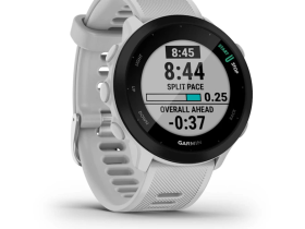 Смарт-часы Garmin Forerunner 55 42 mm (Whitestone) (010-02562-11)