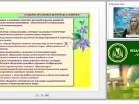 Сюжетно-ролевая игра – первый опыт социализации. Как сформировать социальный опыт ребенка и перенести его в игру?