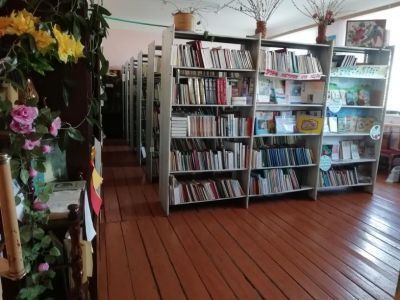 Козловская сельская библиотека