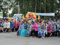 Шенталинский районный дом культуры