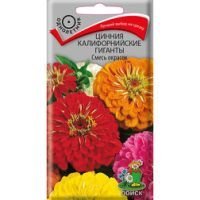 Цинния Калифорнийские Гиганты Смесь окрасок