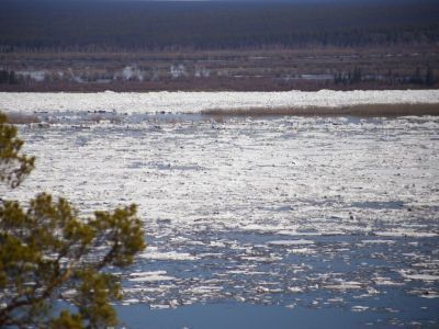 Экологи Якутии поддержали инициативу главы республики об общественном экологическом мониторинге