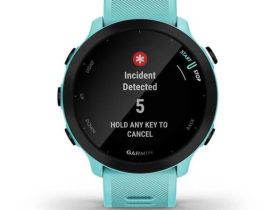 Смарт-часы Garmin Forerunner 55 42 mm (Aqua) (010-02562-12)