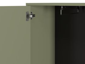 Распашной шкаф Торвалль 1.2-50x185 Оливковый