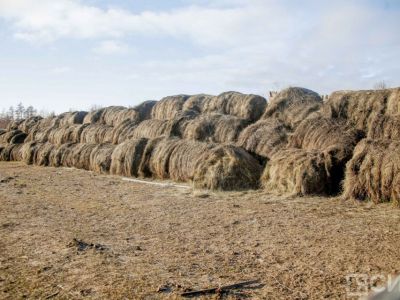 В Якутии завершается кормозаготовительная кампания: собрано почти 381 тысяча тонн сена