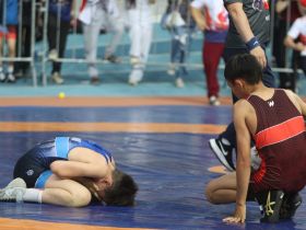 Масштаб впечатляет. Ковёр Павла Пинигина собрал тысячу юных борцов