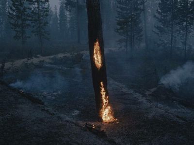 В Нидерландах открывается флагманская выставка World Press Photo