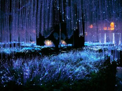 Билеты на Эйфория (Эйфория) / Событие | Афиша | ИнфоТаймс