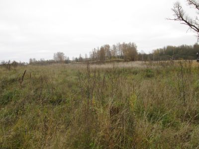 Родина Героя Советского Союза Г.Н. Фокина, погибшего в апреле 1945 г.