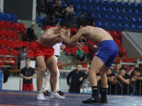 Верхневилюйцы взяли все путёвки на Игры Манчаары по хапсагаю