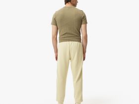 Мужские хлопковые спортивные брюки Lacoste