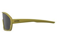 Alpina Велоочки Alpina Bonfire Olive Matt/Black Cat.3, Fogstop (A8687472), цвет Зеленый