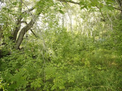 Братская могила жертв крестьянского восстания 1921 г.