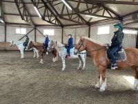 Конный клуб «Рыжая лошадь» г. Абакана