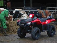 Квадроцикл HONDA TRX500FA6