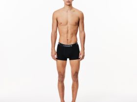 Мужское хлопковое нижнее бельё Lacoste (3 ед.)