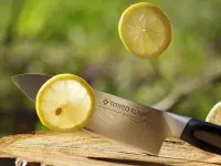 Нож Поварской Tojiro Flash, FF-CH180, сталь VG-10, чёрный, в картонной коробке