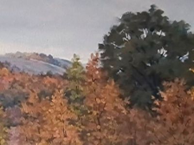 Родные просторы. Выставка