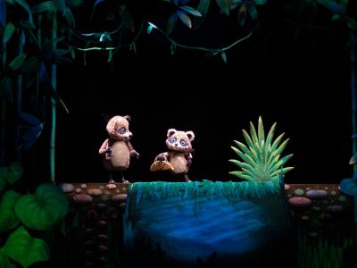 Билеты на Крошка Енот и Тот, кто сидит в пруду (Театр кукол «Теремок») / Театр | Афиша | ИнфоТаймс