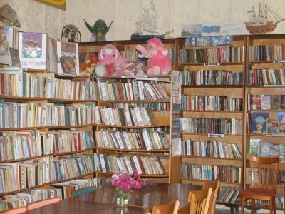 Партизанская сельская библиотека-филиал № 35