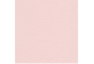 Бумага для пастели Lana "COLOURS" 50x65 см 160 г розовый кварц