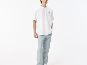 Мужская хлопковая футболка Lacoste