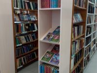 Центральная городская библиотека им. А. И. Чечулина