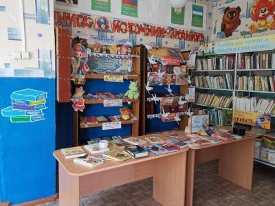 Малоседякская сельская библиотека