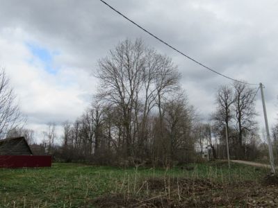 Усадьба Нестеровых. Парк