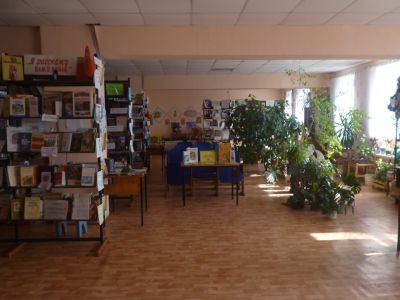 Большедмитриевская сельская библиотека