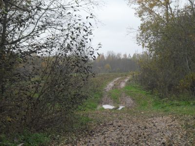 Родина секретаря Силуяновской волостной комячейки, активного борца за установление Советской власти в Поречском уезде П.Е. Глушнева, зверски убитого в 1918 году врагами Советской власти