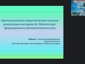 Международный вебинар "Организационно-педагогические условия реализации методики М. Монтессори: формирование математического ума"
