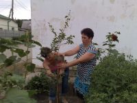 Дубковский сельский клуб