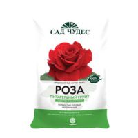 Роза 5л Фарт