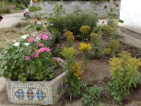 Дубковский сельский клуб