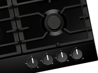 Газовая панель Hansa BHGS611839