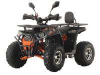 Квадроцикл ИЖТЕХМАШ Armis 125